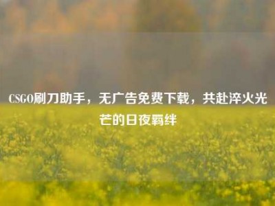 CSGO刷刀助手，无广告免费下载，共赴淬火光芒的日夜羁绊