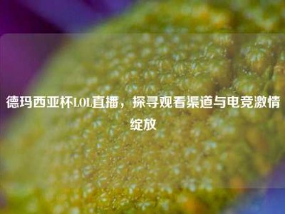 德玛西亚杯LOL直播，探寻观看渠道与电竞激情绽放