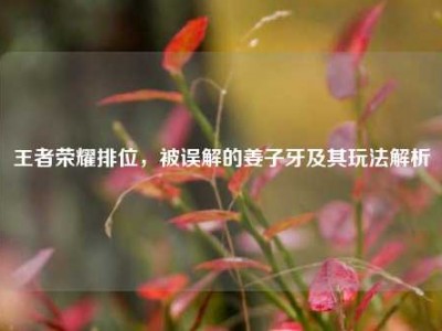 王者荣耀排位，被误解的姜子牙及其玩法解析