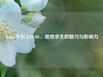 Steam平台上PUBG，绝地求生的魅力与影响力