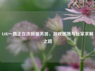 LOL一直正在连接服务器，游戏困境与玩家求解之路