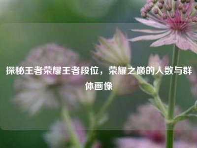 探秘王者荣耀王者段位，荣耀之巅的人数与群体画像