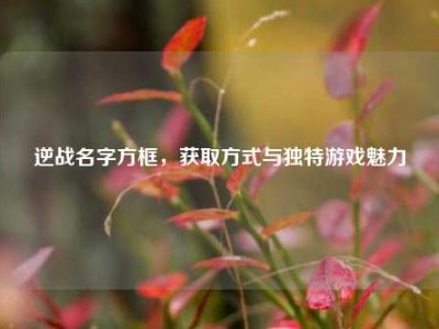 逆战名字方框，获取方式与独特游戏魅力