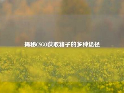 揭秘CSGO获取箱子的多种途径