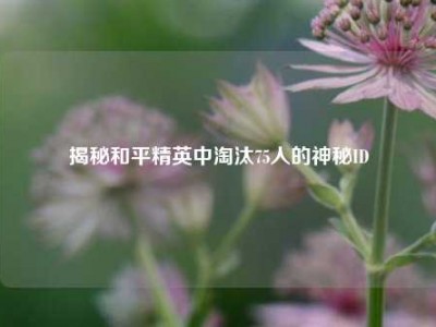 揭秘和平精英中淘汰75人的神秘ID