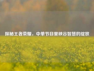探秘王者荣耀，中单节目里峡谷智慧的绽放