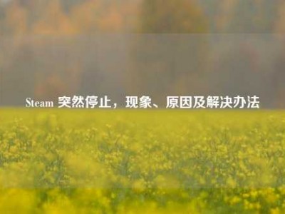Steam 突然停止，现象、原因及解决办法