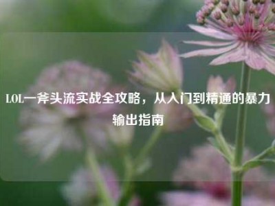 LOL一斧头流实战全攻略，从入门到精通的暴力输出指南