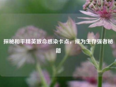 探秘和平精英致命感染卡点，成为生存强者秘籍