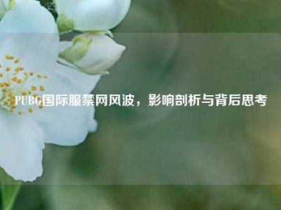 PUBG国际服禁网风波，影响剖析与背后思考