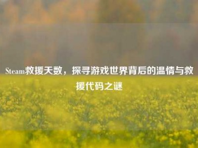 Steam救援天数，探寻游戏世界背后的温情与救援代码之谜