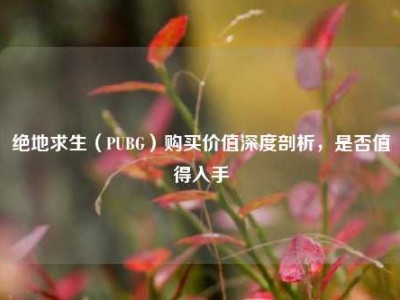 绝地求生（PUBG）购买价值深度剖析，是否值得入手