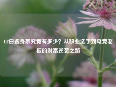 CF白鲨身家究竟有多少？从职业选手到电竞老板的财富逆袭之路