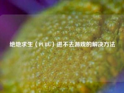 绝地求生（PUBG）进不去游戏的解决方法