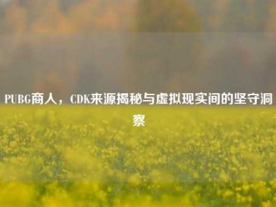 PUBG商人，CDK来源揭秘与虚拟现实间的坚守洞察
