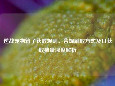 逆战宠物箱子获取规则、合规刷取方式及日获取数量深度解析