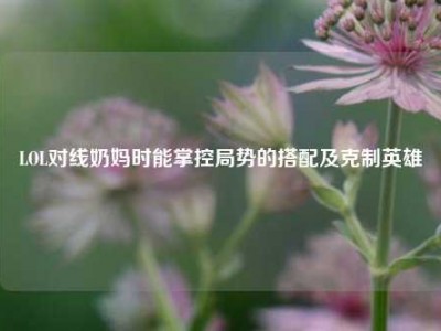 LOL对线奶妈时能掌控局势的搭配及克制英雄