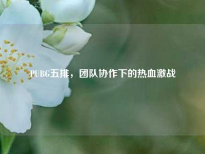 PUBG五排，团队协作下的热血激战