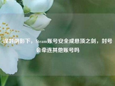 误封阴影下，Steam账号安全成悬顶之剑，封号会牵连其他账号吗
