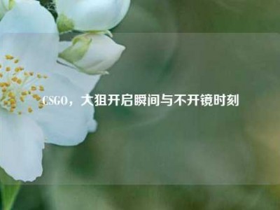CSGO，大狙开启瞬间与不开镜时刻