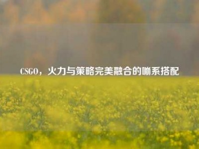 CSGO，火力与策略完美融合的嘣系搭配