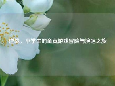 逆战，小学生的童真游戏冒险与演唱之旅