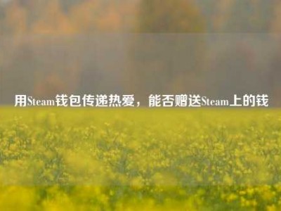 用Steam钱包传递热爱，能否赠送Steam上的钱