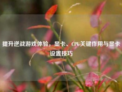 提升逆战游戏体验，显卡、CPU关键作用与显卡设置技巧