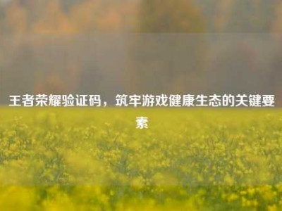 王者荣耀验证码，筑牢游戏健康生态的关键要素