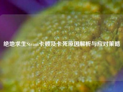 绝地求生Steam卡顿及卡死原因解析与应对策略