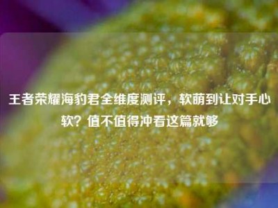 王者荣耀海豹君全维度测评，软萌到让对手心软？值不值得冲看这篇就够