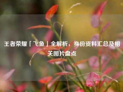 王者荣耀「飞鱼」全解析，身份资料汇总及相关图片盘点