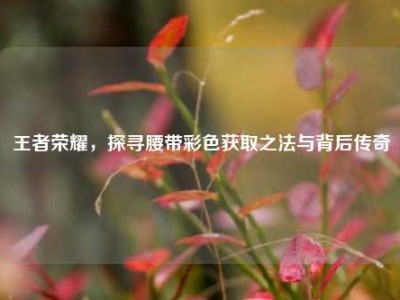 王者荣耀，探寻腰带彩色获取之法与背后传奇