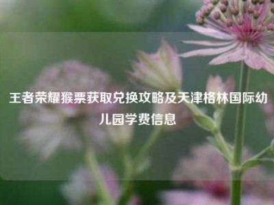 王者荣耀猴票获取兑换攻略及天津格林国际幼儿园学费信息