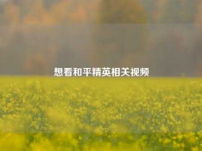 想看和平精英相关视频