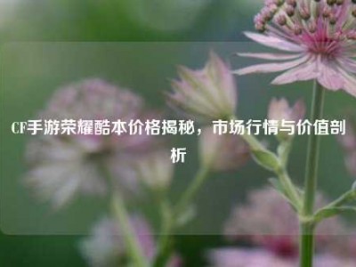 CF手游荣耀酷本价格揭秘，市场行情与价值剖析