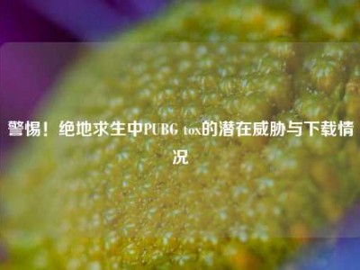 警惕！绝地求生中PUBG tox的潜在威胁与下载情况