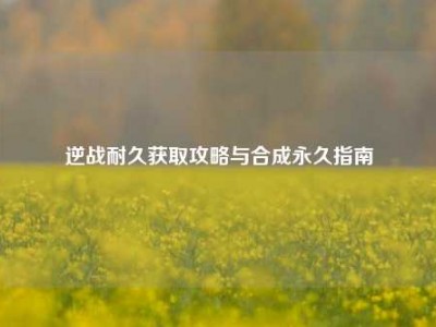 逆战耐久获取攻略与合成永久指南
