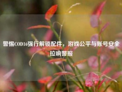 警惕COD16强行解锁配件，游戏公平与账号安全拉响警报
