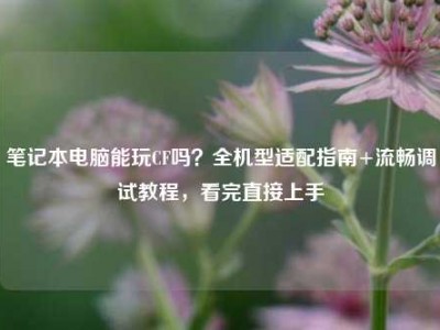 笔记本电脑能玩CF吗？全机型适配指南+流畅调试教程，看完直接上手