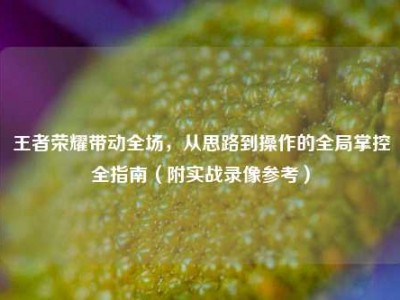 王者荣耀带动全场，从思路到操作的全局掌控全指南（附实战录像参考）