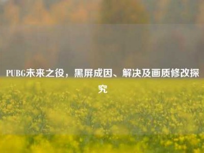 PUBG未来之役，黑屏成因、解决及画质修改探究