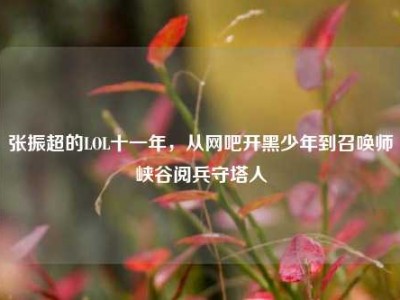 张振超的LOL十一年，从网吧开黑少年到召唤师峡谷阅兵守塔人