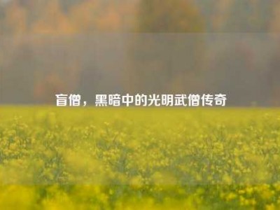 盲僧，黑暗中的光明武僧传奇