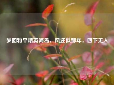 梦回和平精英海岛，风还似那年，四下无人