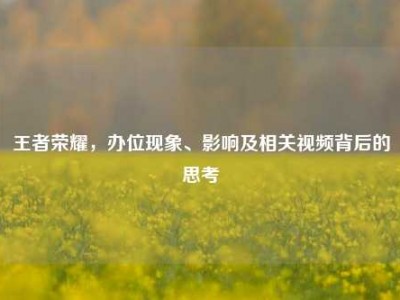 王者荣耀，办位现象、影响及相关视频背后的思考