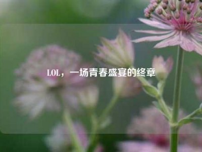 LOL，一场青春盛宴的终章