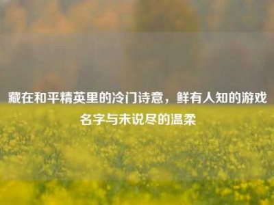 藏在和平精英里的冷门诗意，鲜有人知的游戏名字与未说尽的温柔