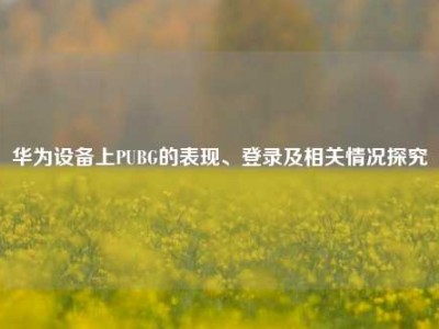 华为设备上PUBG的表现、登录及相关情况探究