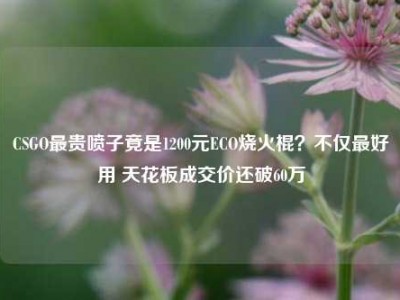 CSGO最贵喷子竟是1200元ECO烧火棍？不仅最好用 天花板成交价还破60万